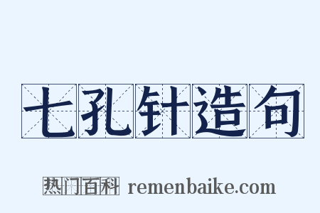 七孔针造句是什么意思的图片